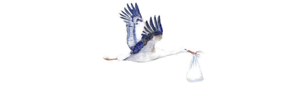 Idigo timeline image - Idigo brand and joint-venture is Born